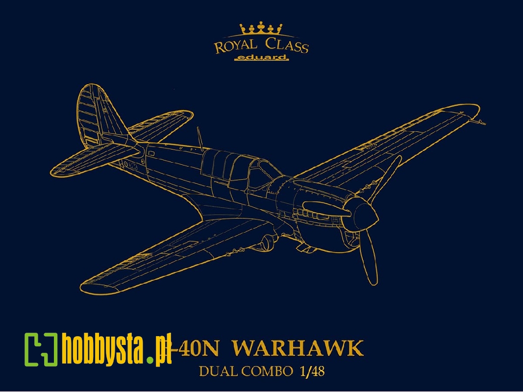 P-40N WARHAWK ROYAL CLASS DUAL COMBO 1/48 - image 1
