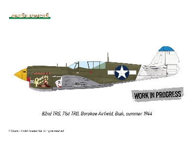 P-40N WARHAWK ROYAL CLASS DUAL COMBO 1/48 - image 4