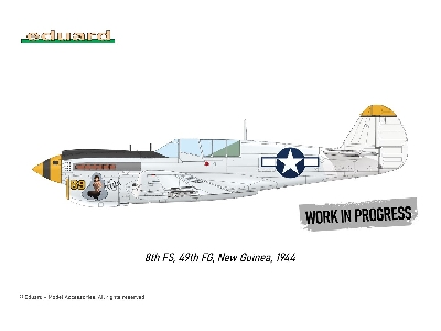 P-40N WARHAWK ROYAL CLASS DUAL COMBO 1/48 - image 6
