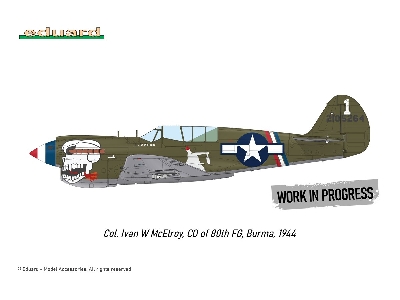 P-40N WARHAWK ROYAL CLASS DUAL COMBO 1/48 - image 8