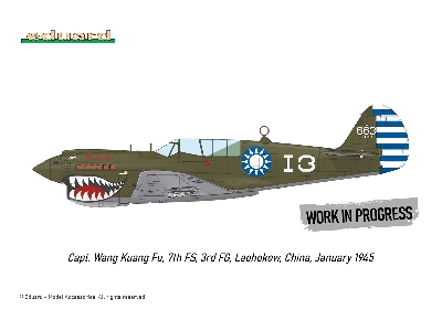 P-40N WARHAWK ROYAL CLASS DUAL COMBO 1/48 - image 9