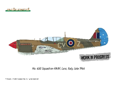 P-40N WARHAWK ROYAL CLASS DUAL COMBO 1/48 - image 13