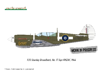 P-40N WARHAWK ROYAL CLASS DUAL COMBO 1/48 - image 14