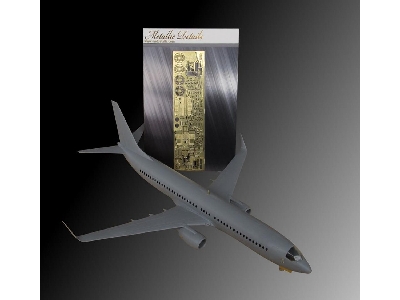 Boeing 737-800 (Designed To Be Used With Zvezda Kits) - image 1