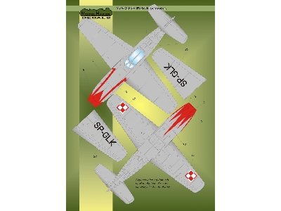 Yak-23 In Polish Service - image 3