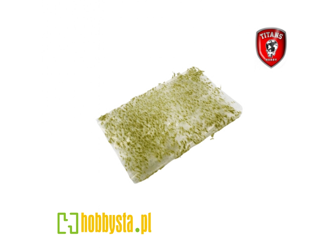 Spring Grass 2 Mm - Clumbs Of Grass 15 X 20 Cm - image 1