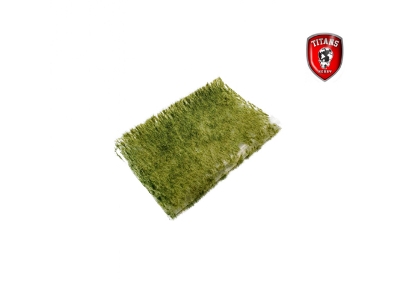 Summer Grass 2 Mm - Clumbs Of Grass 15 X 20 Cm - image 1