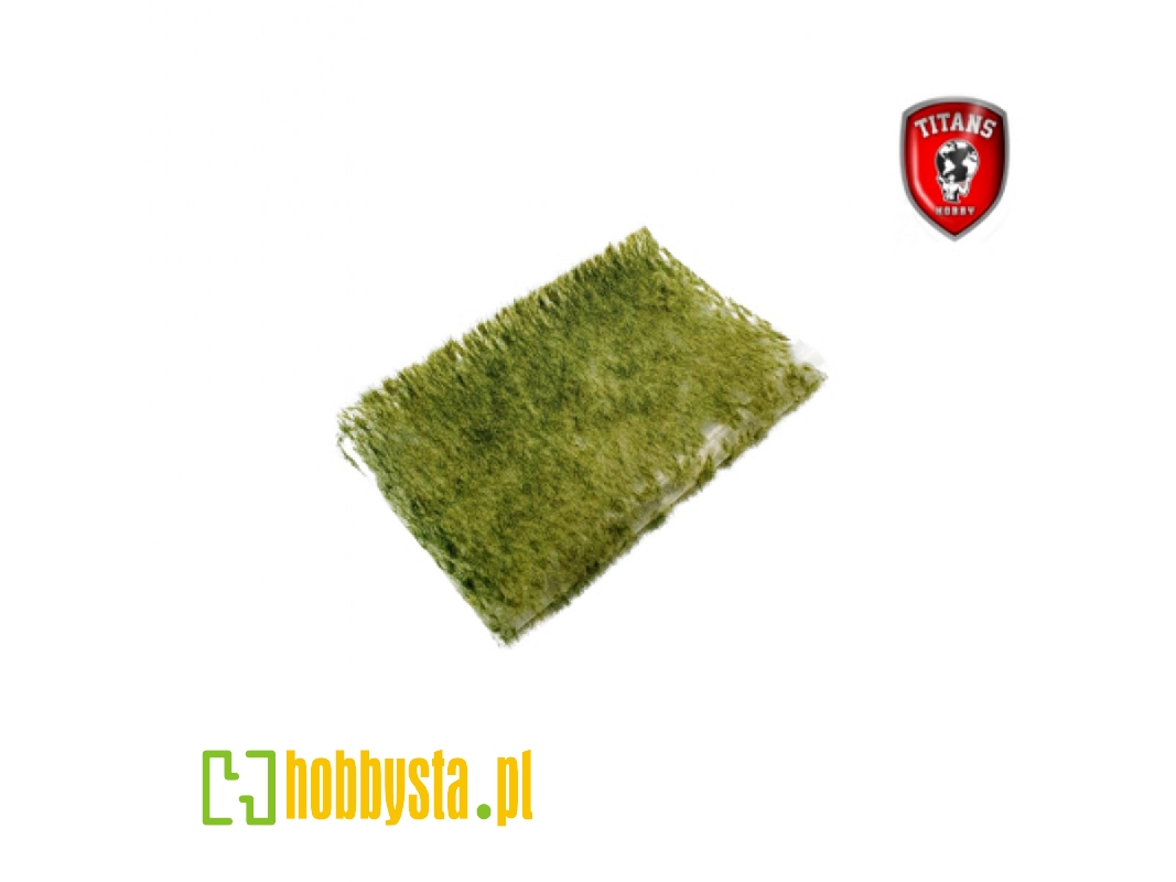 Summer Grass 2 Mm - Clumbs Of Grass 15 X 20 Cm - image 1 Summer Grass 2 Mm - Clumbs Of Grass 15 X 20 Cm - image 1