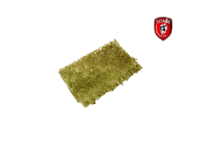 Late Summer Grass 2 Mm - Clumbs Of Grass 15 X 20 Cm - image 1