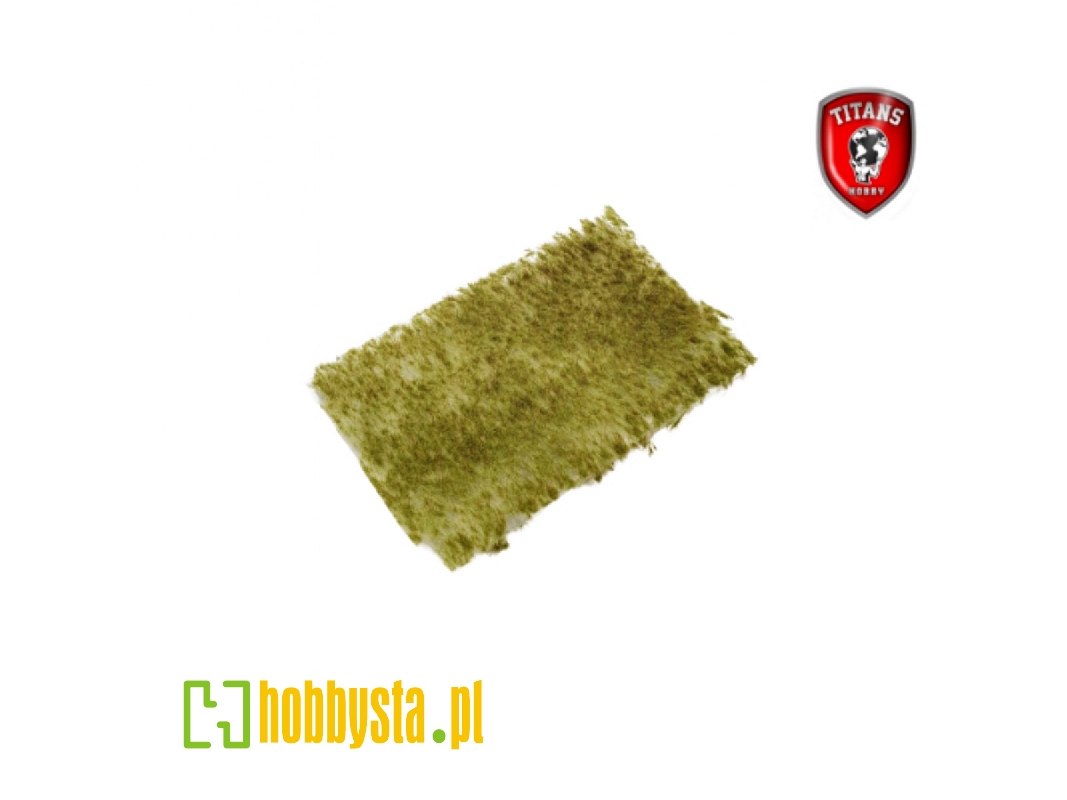 Late Summer Grass 2 Mm - Clumbs Of Grass 15 X 20 Cm - image 1 Late Summer Grass 2 Mm - Clumbs Of Grass 15 X 20 Cm - image 1
