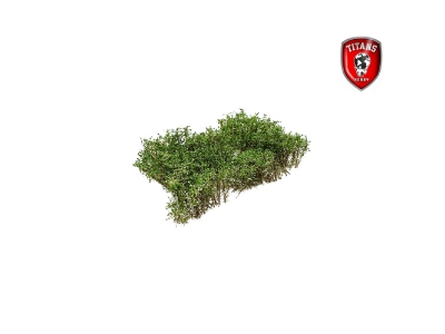 Shrubery Blooming White 15 Mm (15 X 15 Cm) - image 1