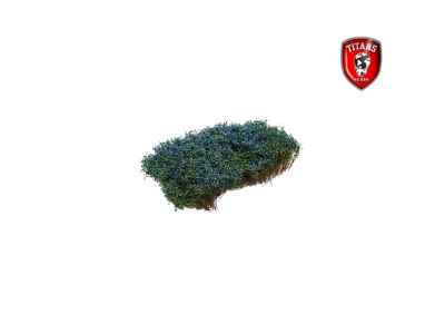 Shrubery Blooming Blue 15 Mm (15 X 15 Cm) - image 1