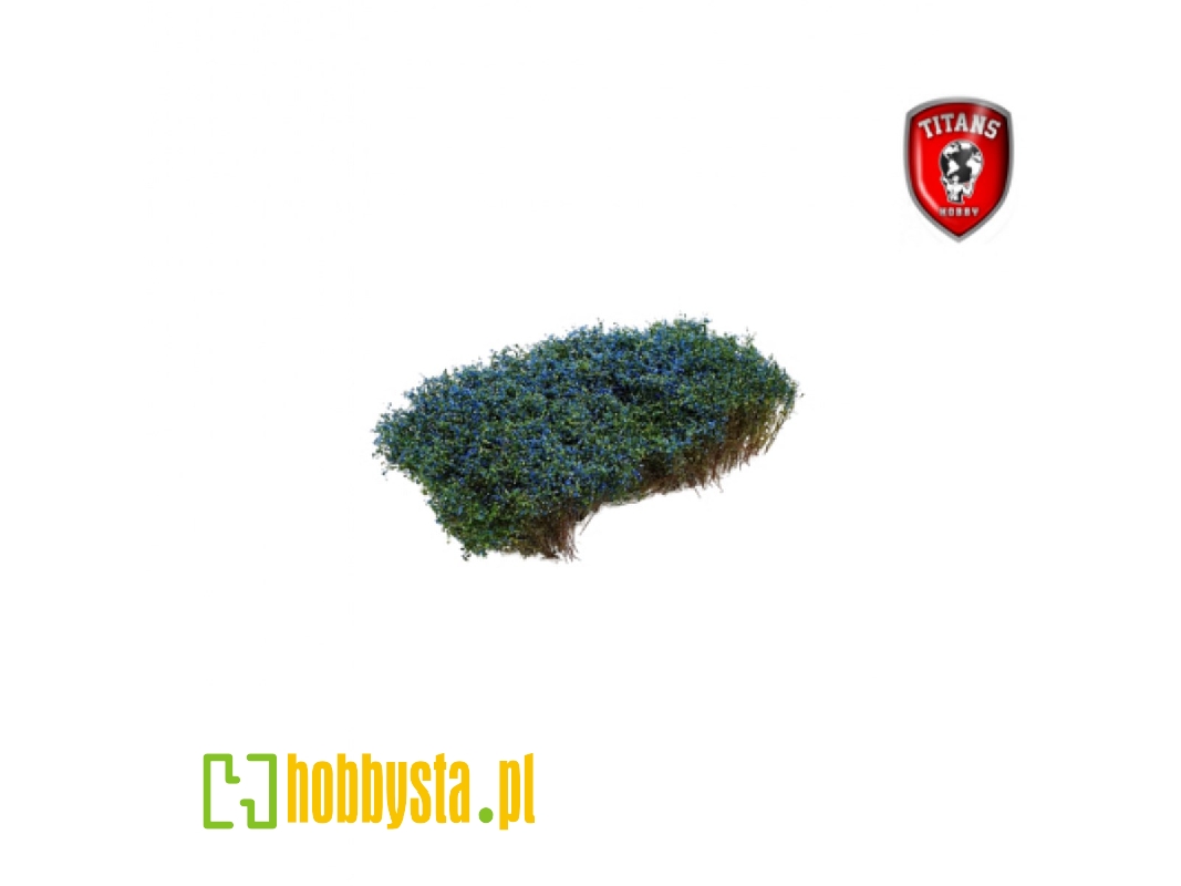 Shrubery Blooming Blue 15 Mm (15 X 15 Cm) - image 1 Shrubery Blooming Blue 15 Mm (15 X 15 Cm) - image 1