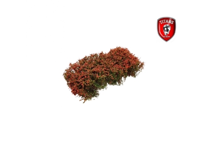 Shrubery Blooming Pink 15 Mm (15 X 15 Cm) - image 1
