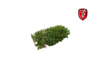 Shrubery Spring Green 15 Mm (15 X 15 Cm) - image 1