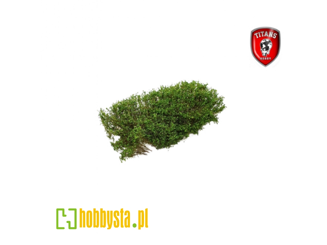 Shrubery Spring Green 15 Mm (15 X 15 Cm) - image 1 Shrubery Spring Green 15 Mm (15 X 15 Cm) - image 1