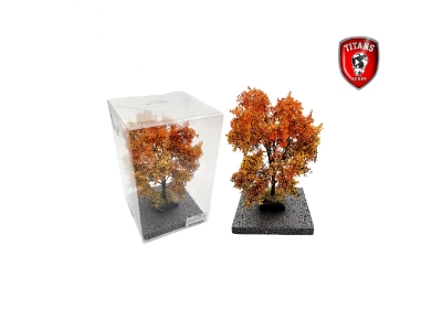 Autumn Maple Tree (18 - 22 Cm) - image 1