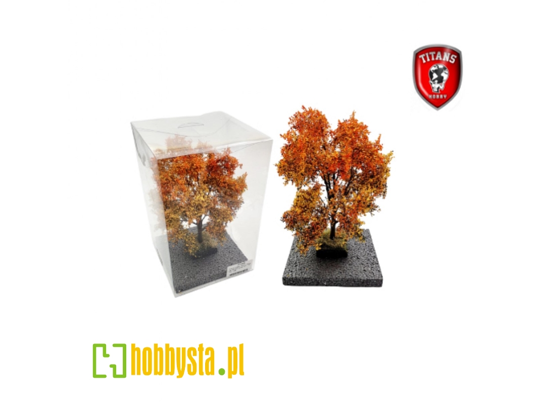 Autumn Maple Tree (18 - 22 Cm) - image 1
