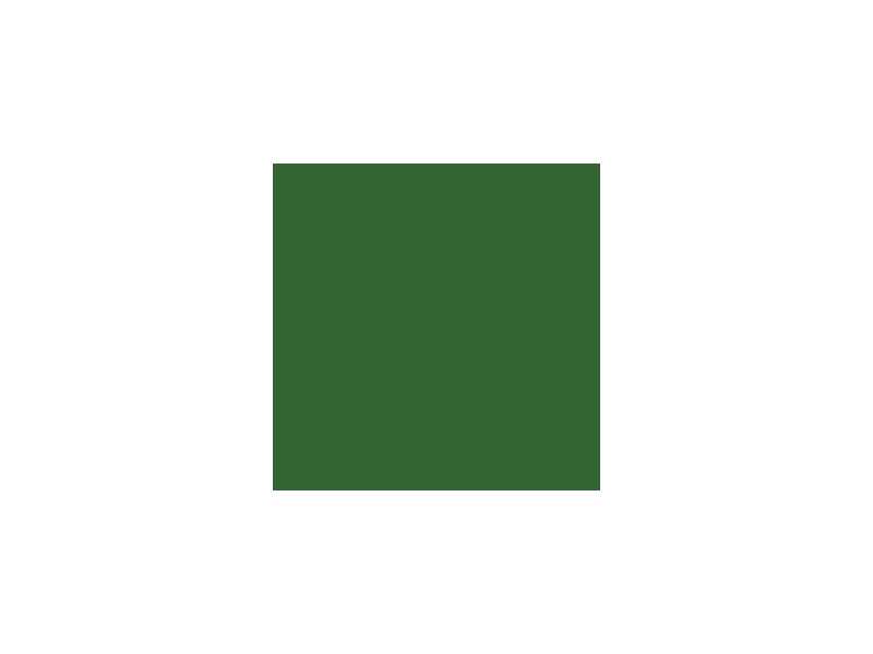 Paint Dark Green (mat) - image 1