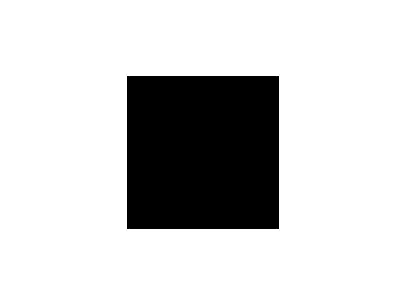 Paint Flat Black (mat) - image 1