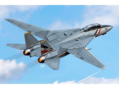 Grumman F-14 D Tomcat - "vf-2 Bounty Hunters" Fighter Aircraft - image 1