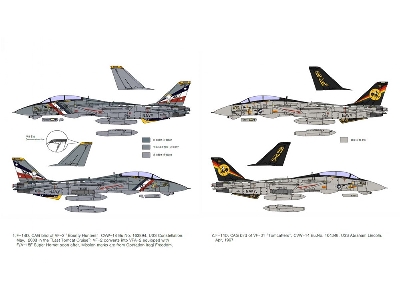 Grumman F-14 D Tomcat - "vf-2 Bounty Hunters" Fighter Aircraft - image 3