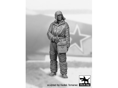 Soviet Fighter Pilot, Winter Ww2 No.3 - image 2