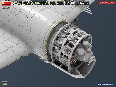 Republic P-47 D-11re Thunderbolt - Zemke's Wolfpack (Advanced Kit) - image 4