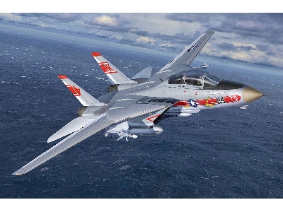 Grumman F-14a Tomcat - Model Set - image 2