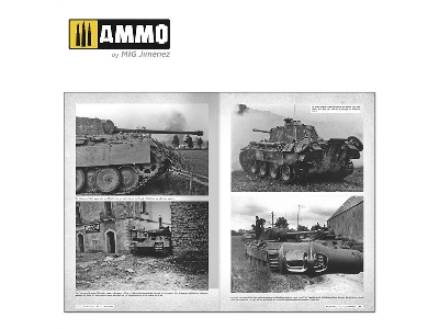 Panthers - Modeling The Takom Family (French) - image 9