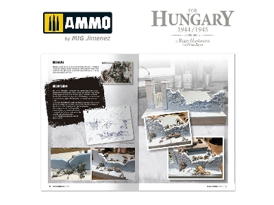 The Battle For Hungary 1944/1945 (French) - image 11