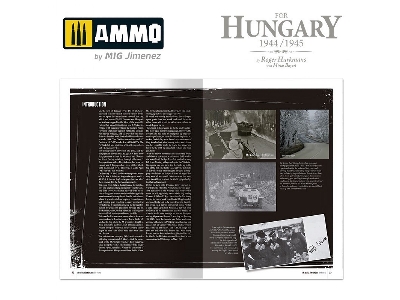 The Battle For Hungary 1944-1945 (German) - image 8