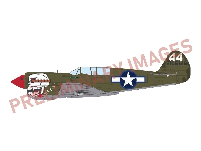 P-40n Warhawk - The Profipack Edition - image 1