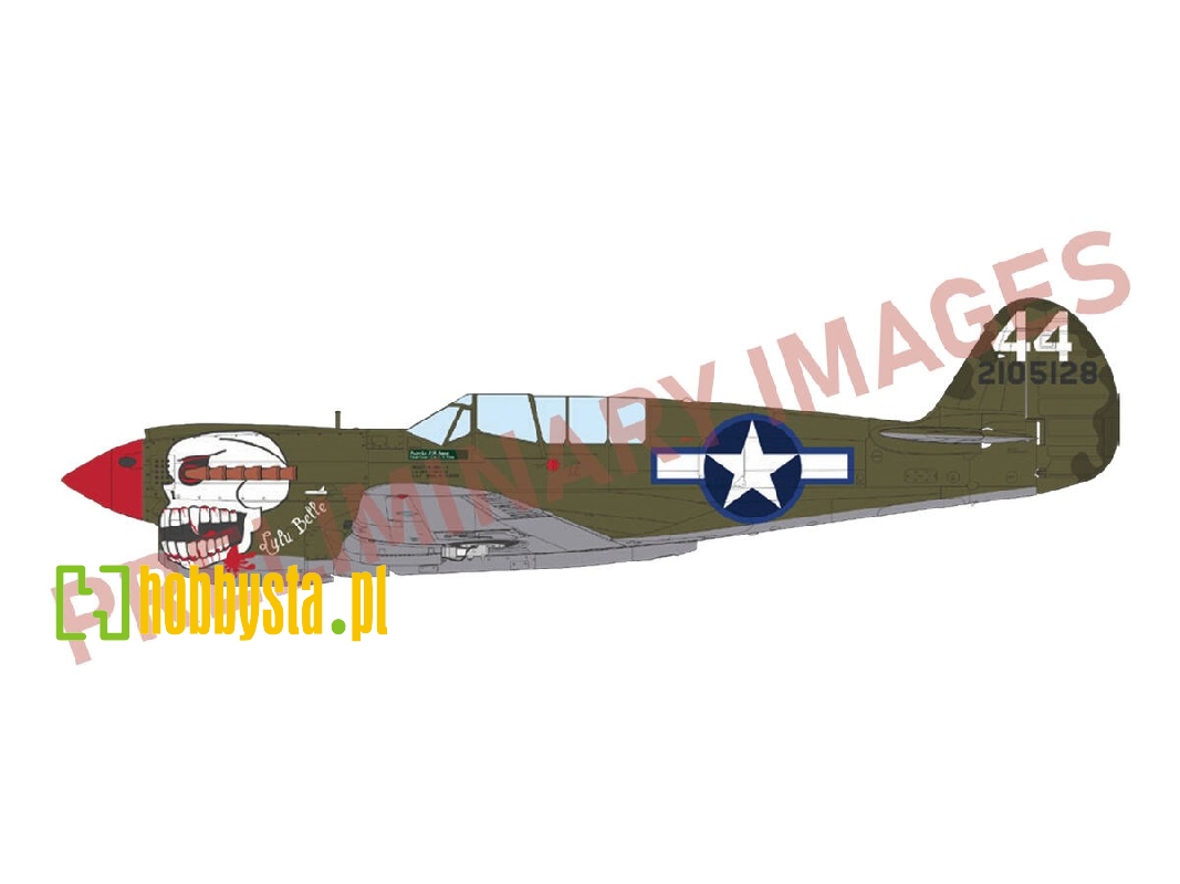 P-40n Warhawk - The Profipack Edition - image 1
