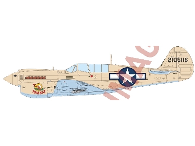 P-40n Warhawk - The Profipack Edition - image 2