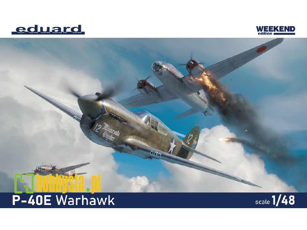 P-40 E Warhawk - The weekend Edition - image 1