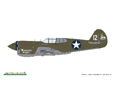 P-40 E Warhawk - The weekend Edition - image 3