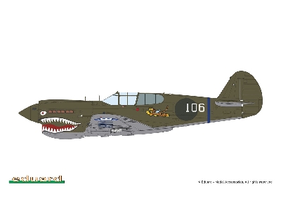 P-40 E Warhawk - The weekend Edition - image 4
