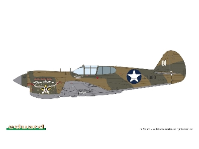 P-40 E Warhawk - The weekend Edition - image 5