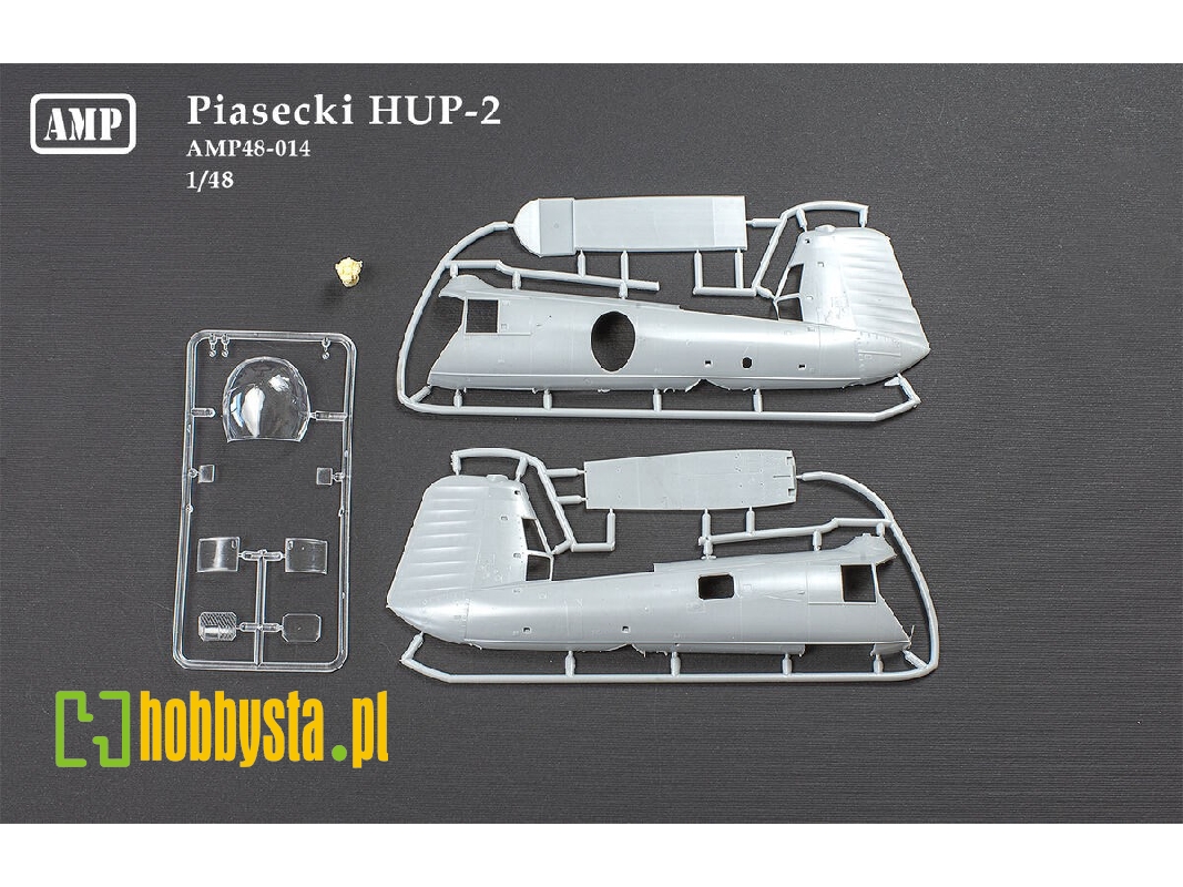 Piasecki Hup-1/Hup-2 (With Printed Parts) - image 1
