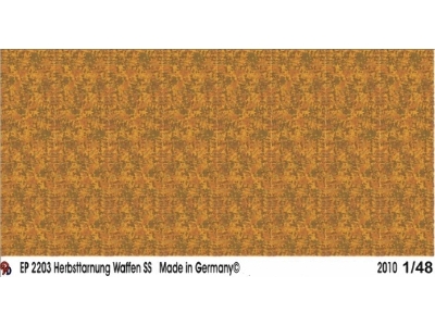 Camo Smoke Autumn Waffen Ss - image 1