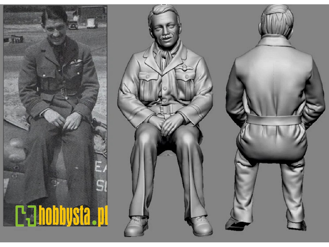 British Raf Wwii Aces - James Rankin (3d-printed) - image 1