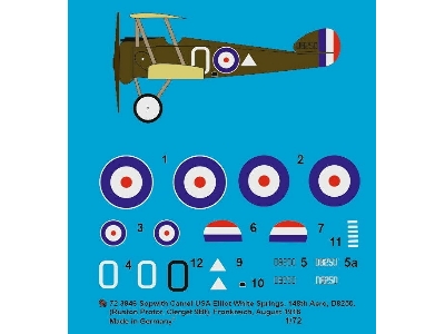 Sopwith Camel Usa Elliot White Springs, 148th Aero, D8250 (Ruston Proctor, Clerget 9bf), France, August 1918 - image 1