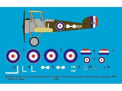 Sopwith Camel Usa, Howard Burdick, 17th Aero, F2141 (Hooper, Le Rhone 9j), France, September 1918 - image 1
