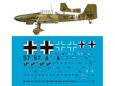 Ju 87 D-3/Trop, Stab/St.G 3, Oberstl. Walter Siegel, Egypt 1942 - image 1
