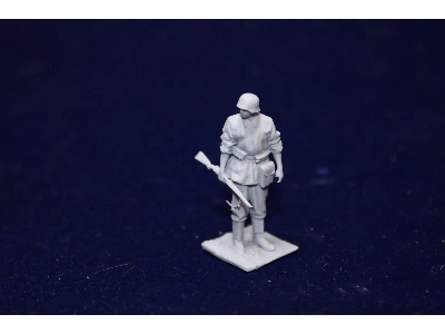 Ss Grenadier With Gewehr - image 1