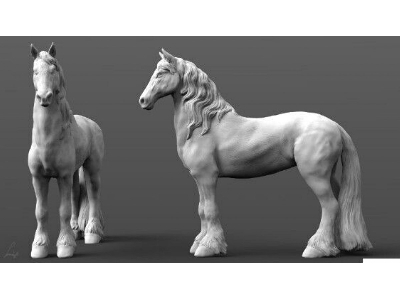 Friesian Heavy Horse - image 1