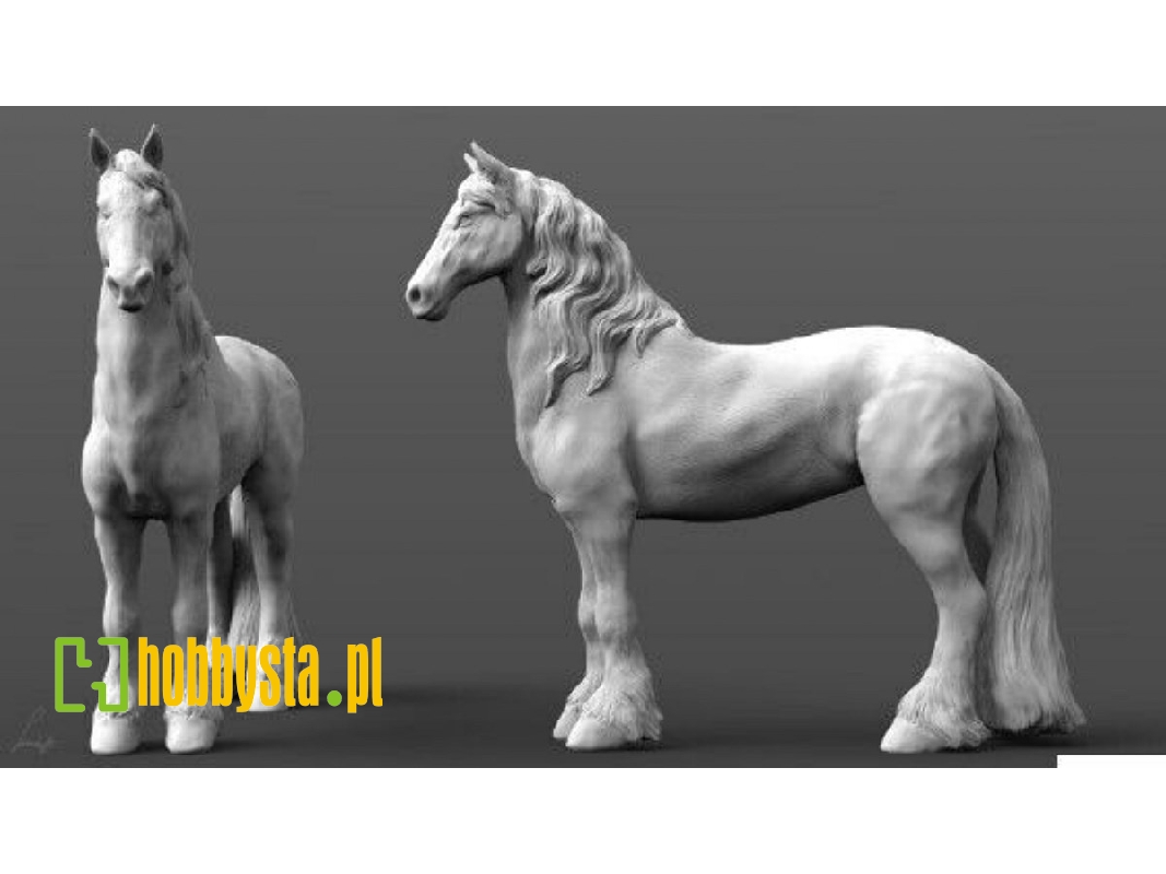 Friesian Heavy Horse - image 1