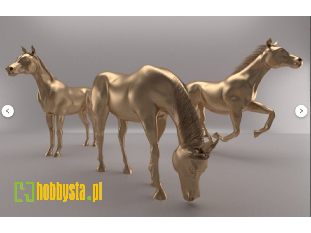 3 Horses Without Harness - image 1