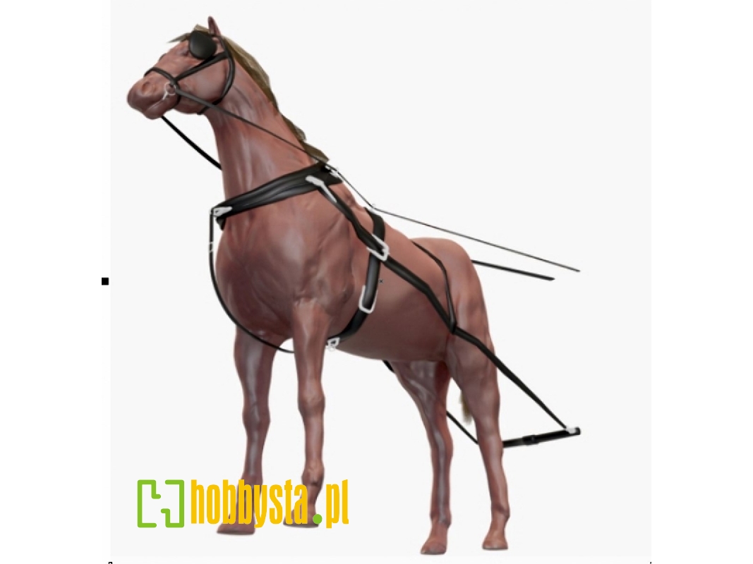 2 Horses With Harness - image 1